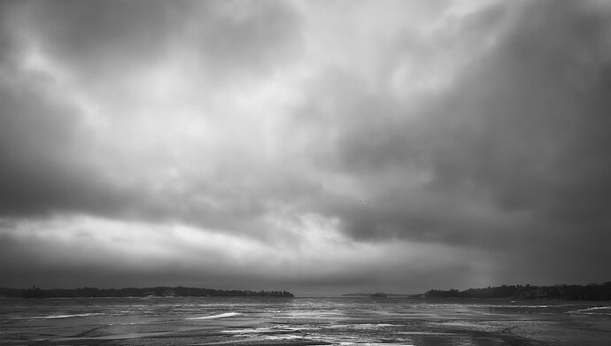 untitled-2-copy.jpg