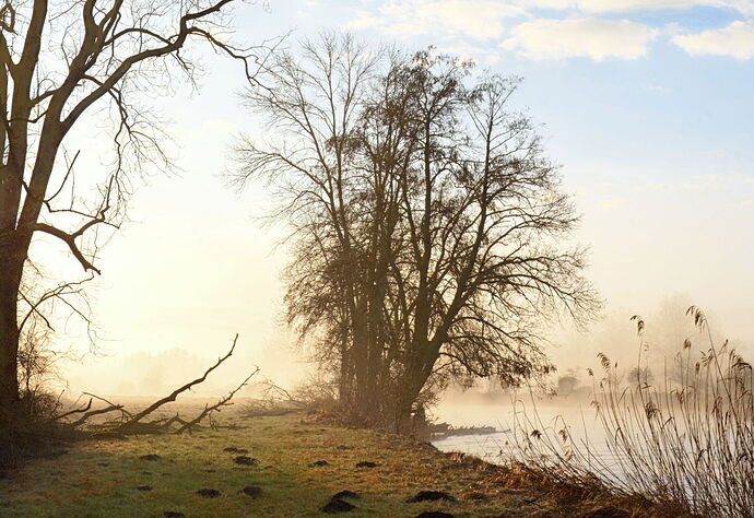 2024-02-18_DSC_0521_edited