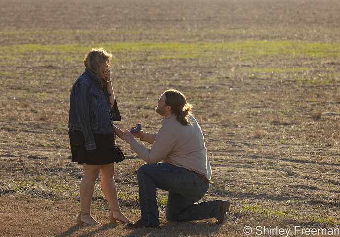 Proposal.jpg