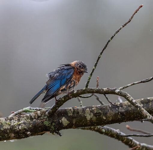 _DSC0974-Edit-Edit.jpg