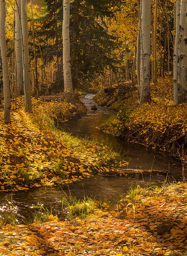 A Quite Stream on Owl Pass (1 of 1)_MS