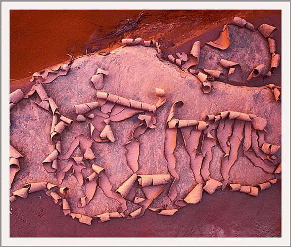 mud2 copy 2.jpg