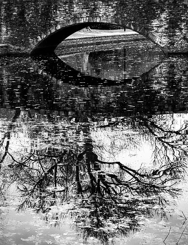 Leaves everywhere.jpg