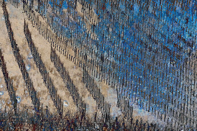 _APA6294 Textur_1.jpg