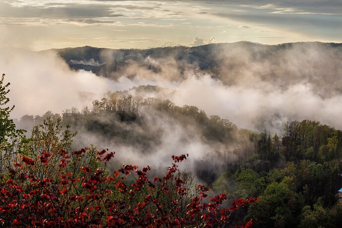 Fog Eludes me