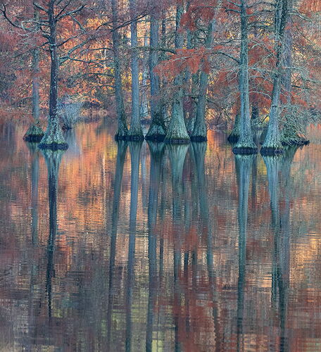 _DSC6085-Recovered copy # 3 copy.jpg