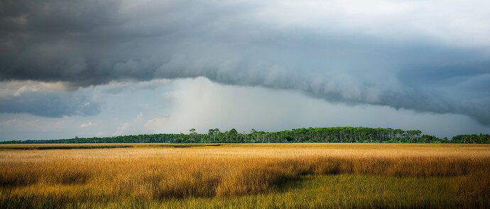 Late Afternoon Shower