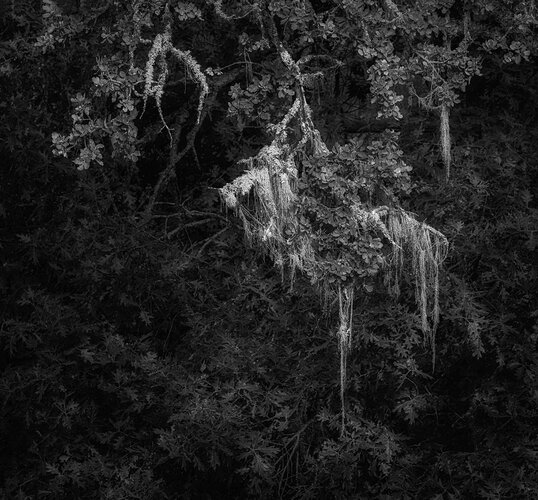 _49A8341-Pano-Edit-3-Edit