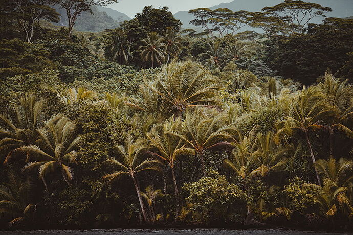 20250408_Polynesia_SocietyIslands_Raiatea_941.jpg