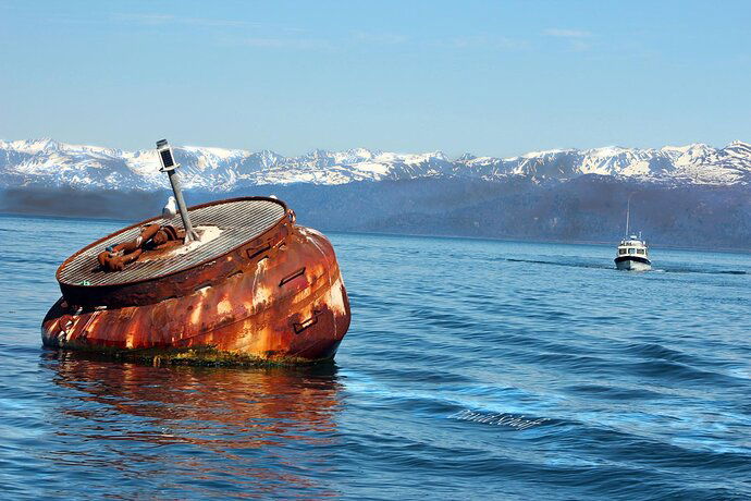 Shorebird 201-buoy-signed-sRGB-224