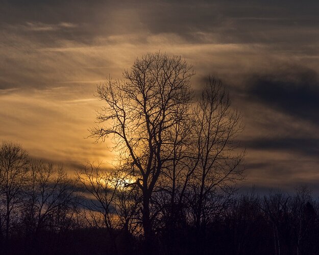 2020-11 Lever de soleil-23-PS-1