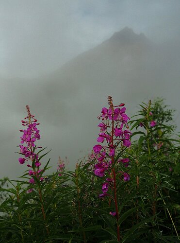 Alaska_CloudedMountain_Vertical