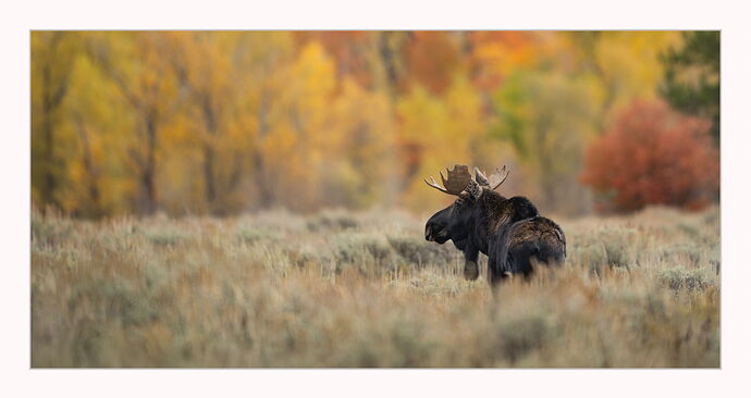 _DSC7840-Edit-2-Edit-2