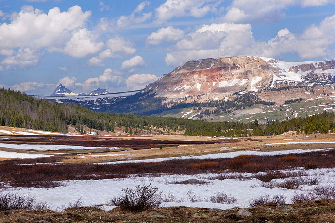 Beartooth Butte, Spring copy