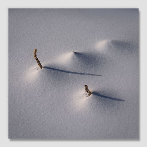 20260111 end2 square