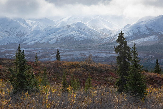 The Glow Within IMG_3680-2