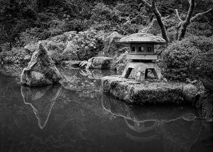 IMG5DMarkIV_0081NPNWebLrg-3-DM