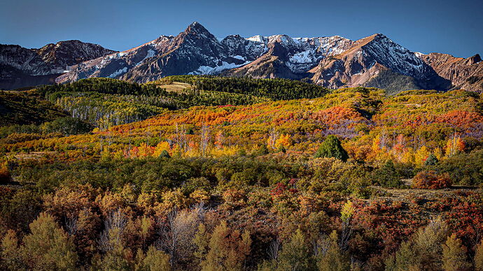 2b539641cb8e313af67b6a066b1cf5b1fe1318adSample