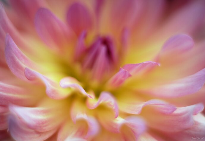 20220903_093309_DBP1496