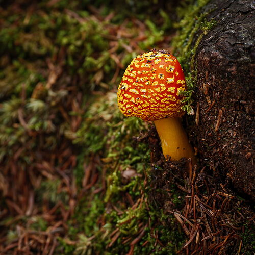 Kristen_SmithJuly 31, 2025_1011941.jpg