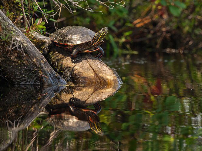 Kristen_SmithAugust 18, 2023_1172701-Edit-Edit.jpg