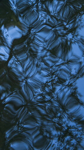 Reflections-2.jpg