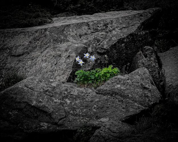 LO5D5806_DxO-1-45-4096