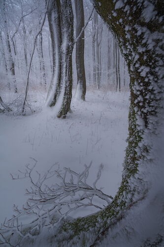 Rhön3.jpg