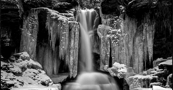 RickPScreenshot 2026-03-01 125643