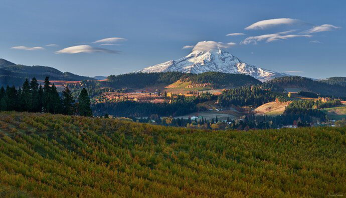 A Hint of Fall in the PNW