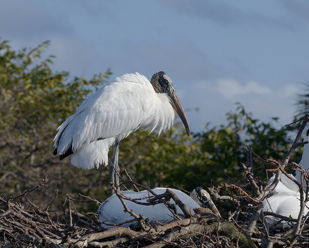 DSC_6284_DxO.jpg