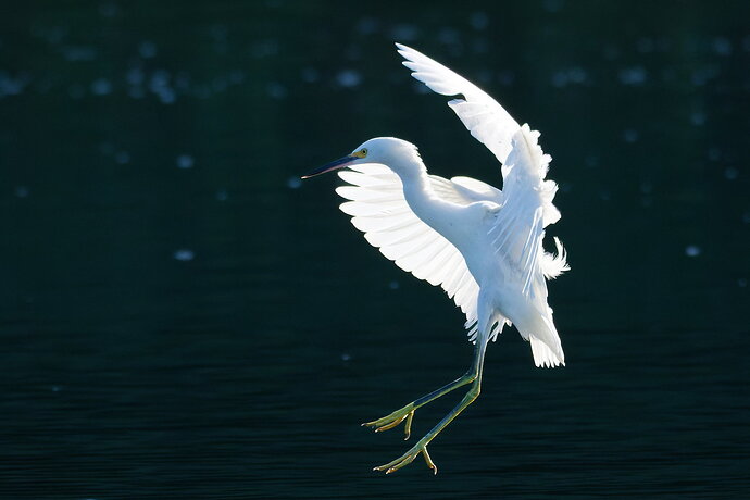 _DSC1165_DxO-1