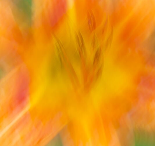 _DSC0458 copy.jpg