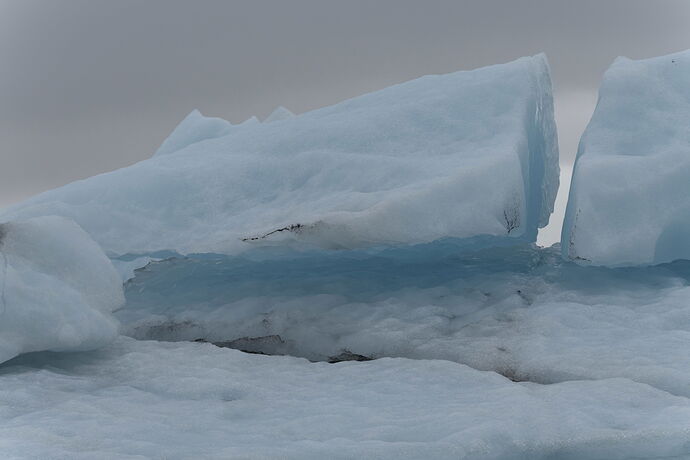 DSC03931-DxO_DeepPRIME 3-1 copy.jpg