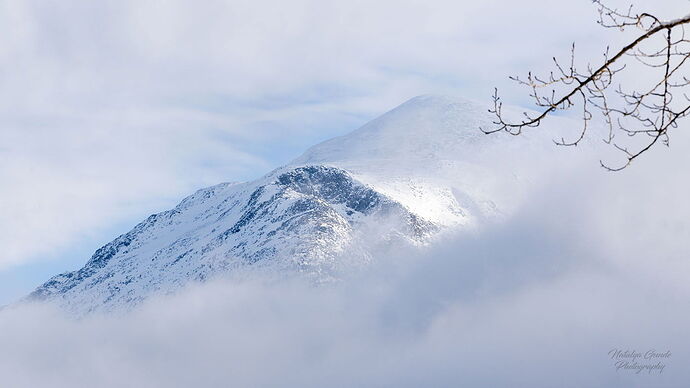 _Z726881_DxO copy.jpg