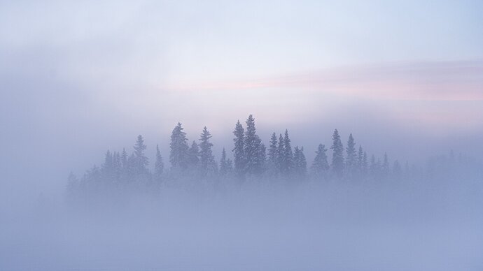 A foggy winter morning