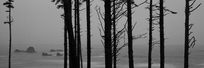 Ruby Beach Soft Surf #1.jpg