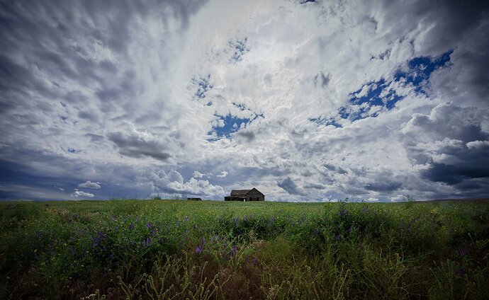 palouse3