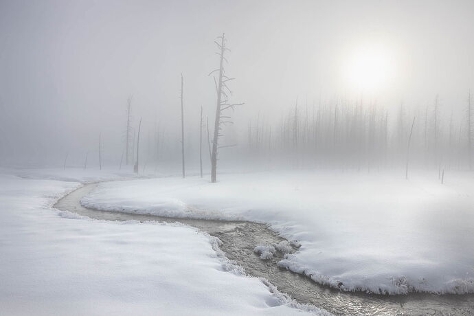Flood-YS-Critique-107.jpg