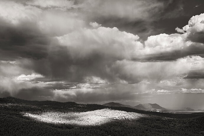 Fleeting Light