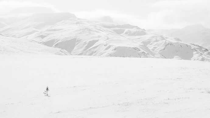 IMG5DIIIPost10k_2598NPNWebLrg-NPNWebLrg 4.9mb-3