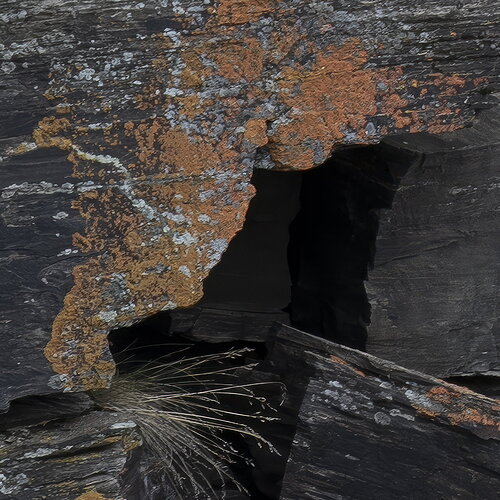 Revision 1 - negative space7.jpg