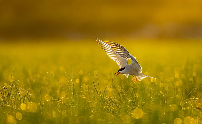 After the rain.jpg