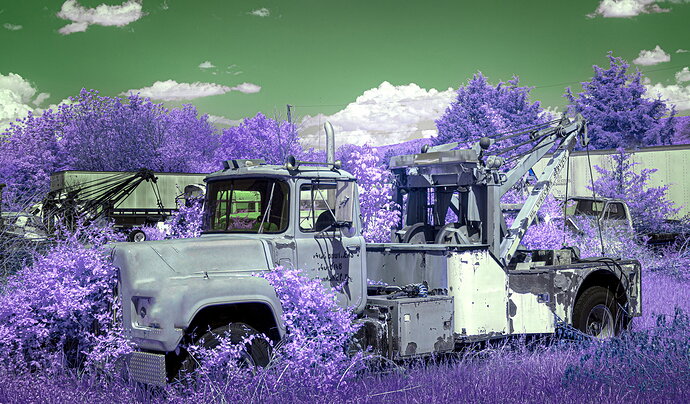 Overgrown