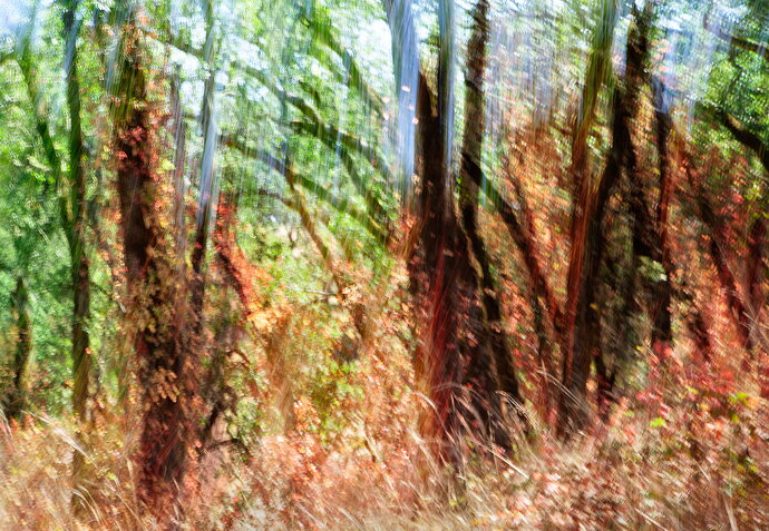 Original - _MG_4888-Edit.jpg