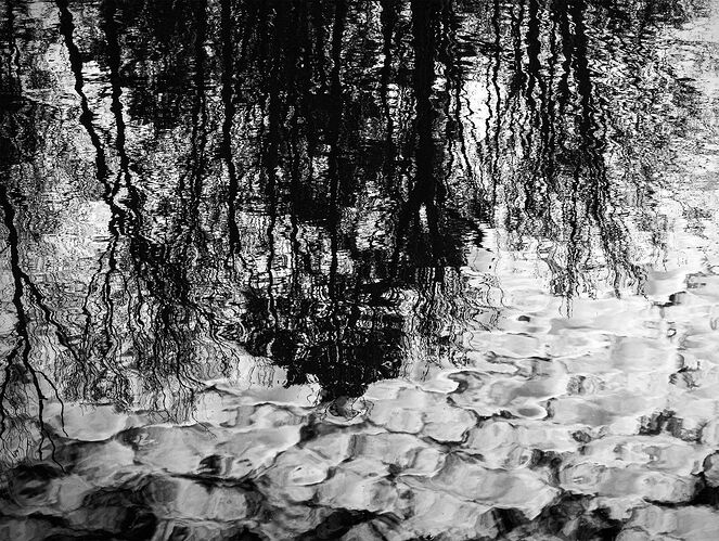 Tree,Wind,Water,  Clouds.jpg