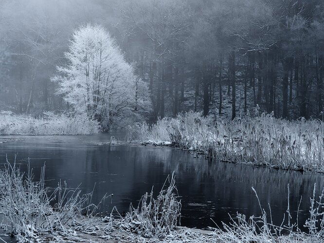 Cold dawn