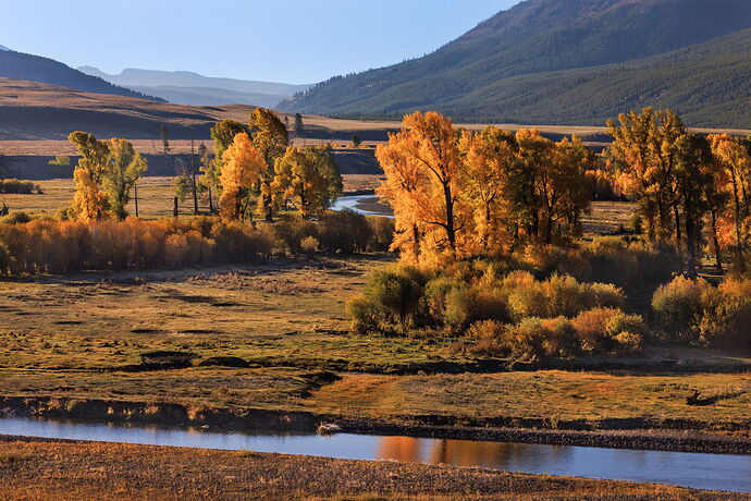 Fall at the Confluence.jpg
