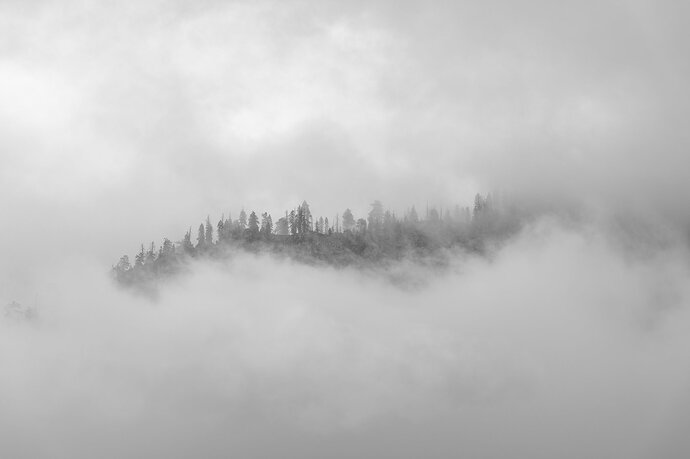 Original - 20260504-_Z081061-1.jpg