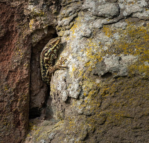 Catching The Warmth.jpg